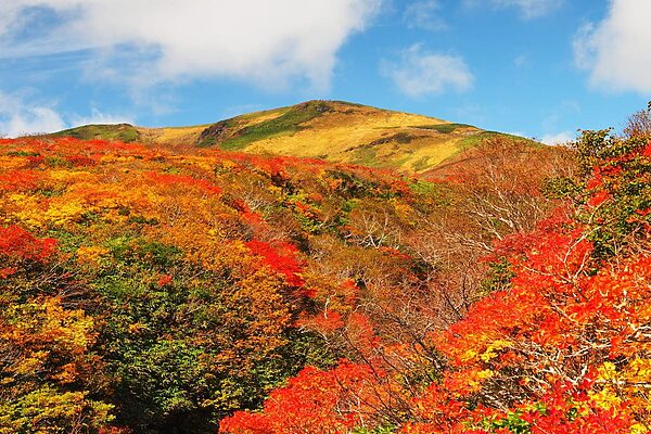 人の波を離れて、静けさの中へ──秣岳から出会う栗駒山“神の絨毯”