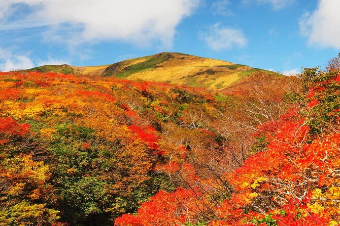人の波を離れて、静けさの中へ──秣岳から出会う栗駒山“神の絨毯”