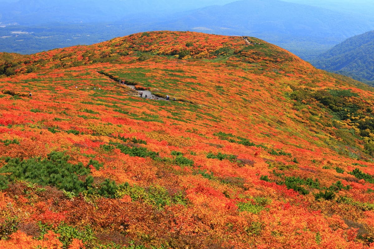 栗駒山　須川温泉