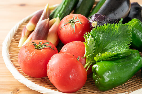 元農業職が教える“信頼できる有機野菜”。有機栽培の現場から学んだリアルとともに