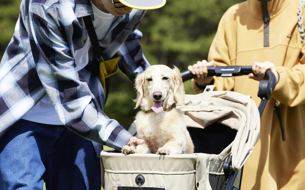 アウトドア対応の3輪ペットバギー「GO.BUGGY Dog」シリーズを発売