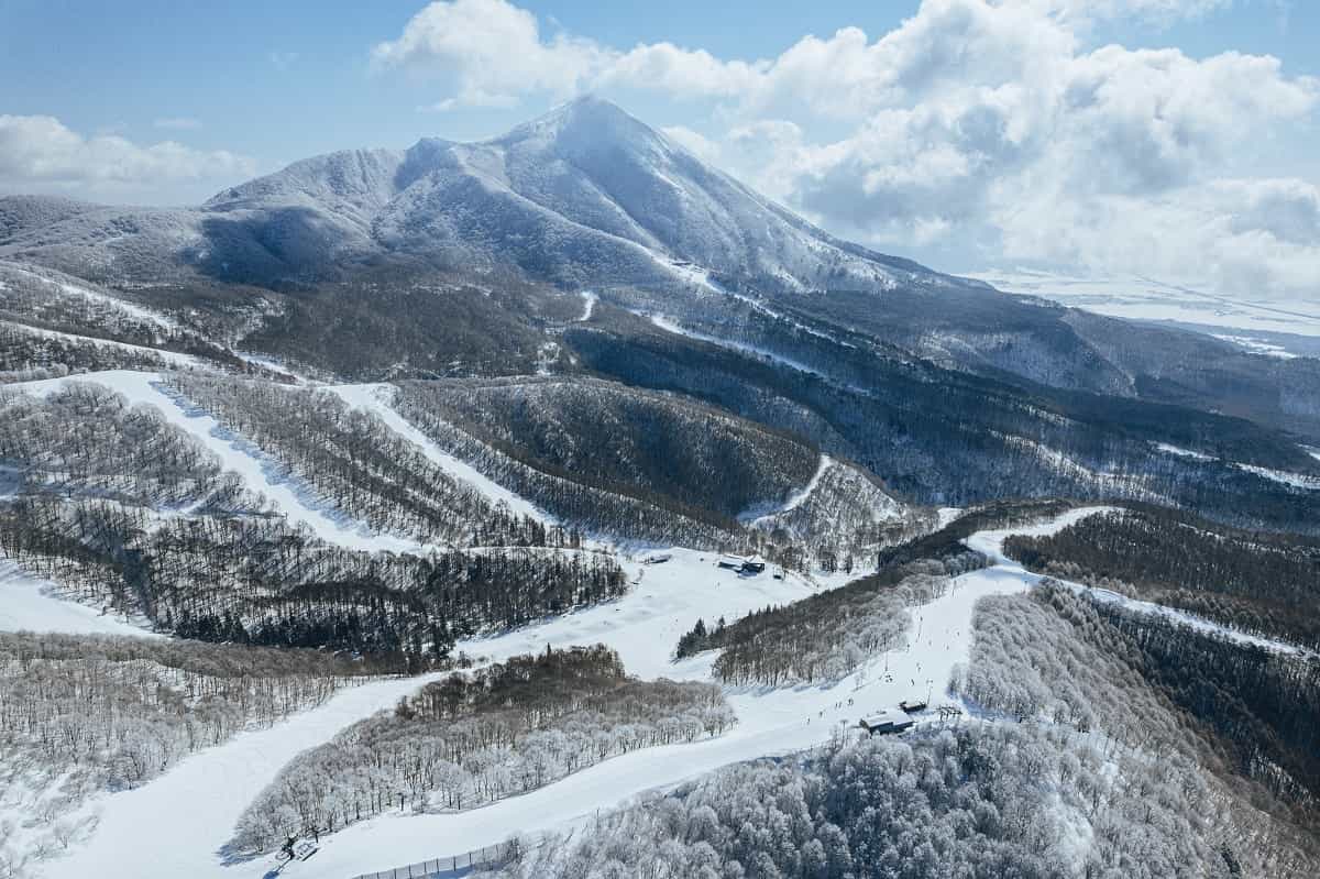 世界70リゾート連携!ネコマ マウンテンがIkon Pass加盟で“新雪旅”へ