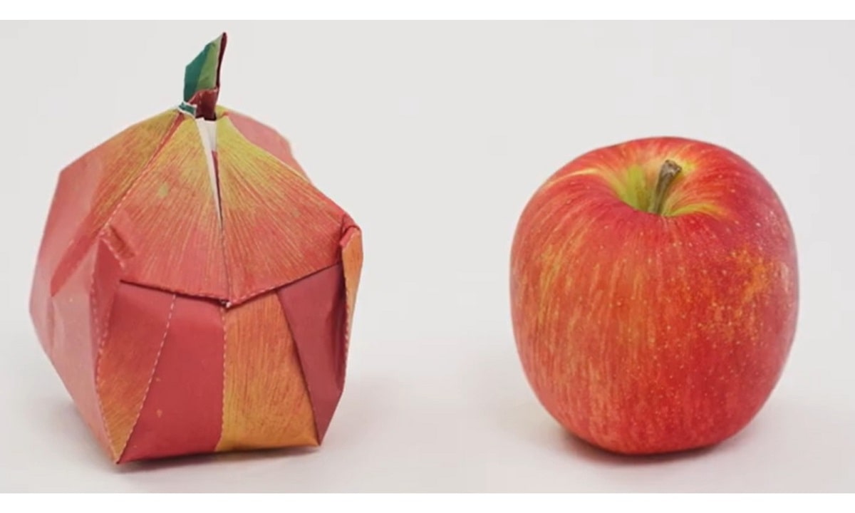 “きになる”が森に。信州エコアクション「りんごと脱炭素社会~GO! ゼロカーボン!~」