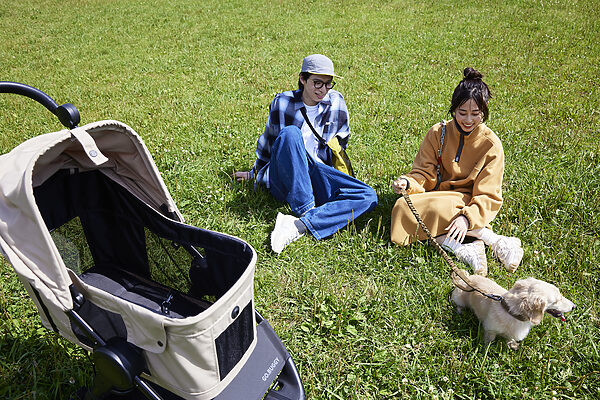 【新発売】アウトドア対応の3輪ペットバギー「GO.BUGGY Dog」登場！愛犬とのキャンプやフェスをもっと快適に