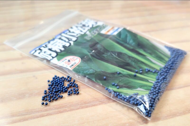 冬　野菜　家庭菜園