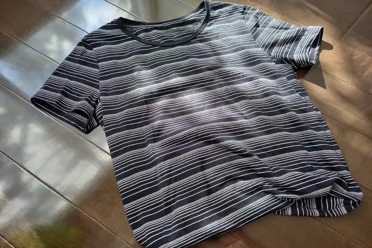 もう化繊に戻れない!メリノウール沼にハマった私のリアル活用術