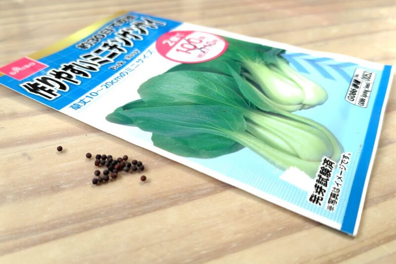 冬　野菜　家庭菜園