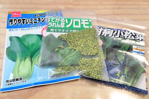 冬こそ家庭菜園デビュー！甘みが増す季節に育てられる野菜3選