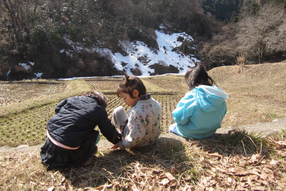 自然体験　子ども　プログラム