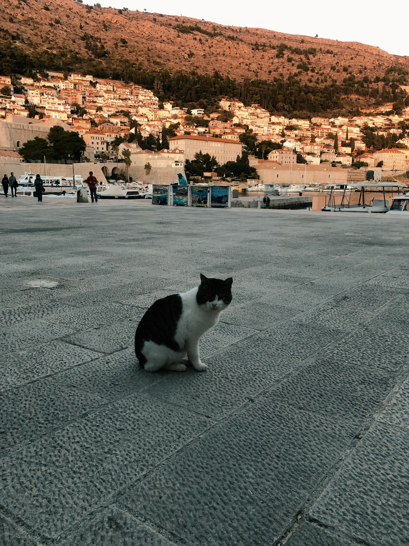 ドブロブニク・スルジ山