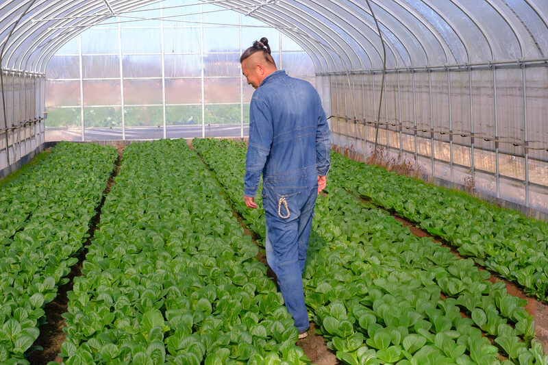 食育 地産地消 農家