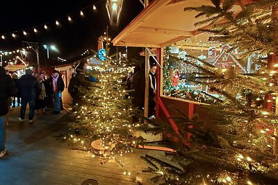 冬を迎える準備が変わる。スイスに学ぶ、灯りと手仕事のヒント