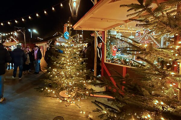 冬を迎える準備が変わる。スイスに学ぶ、灯りと手仕事のヒント