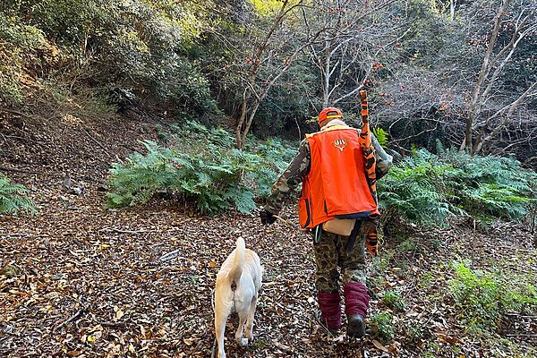 ジビエブームの裏側｜里山で起きている獣害と狩猟の役割