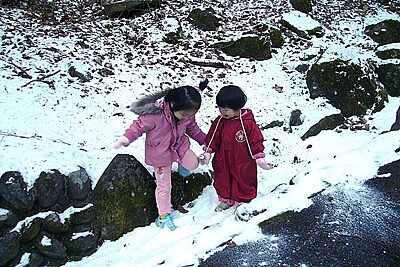 子どもの心がもっと豊かに育つ。親が学べるおすすめ自然体験プログラム3選