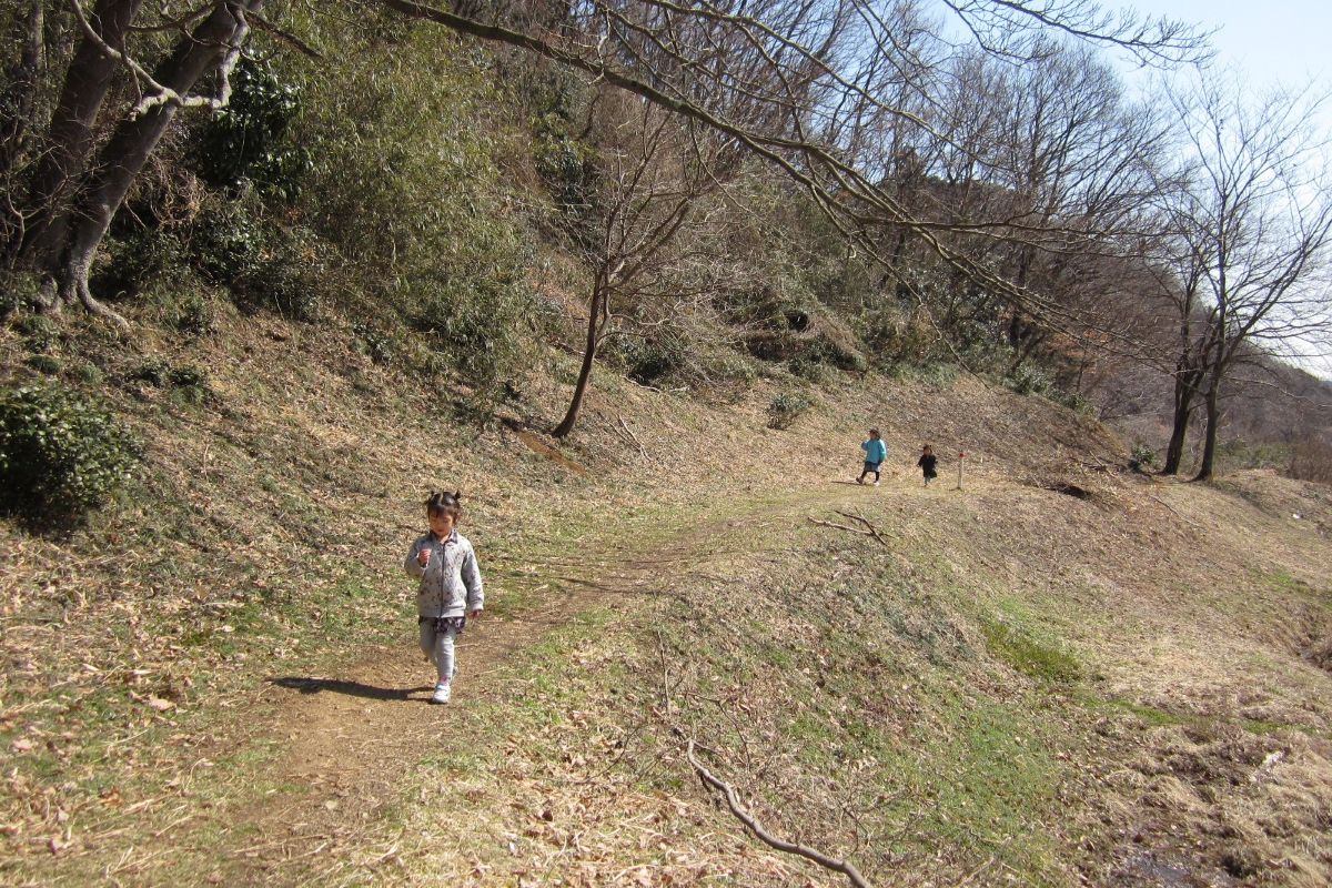 自然体験　子ども　プログラム