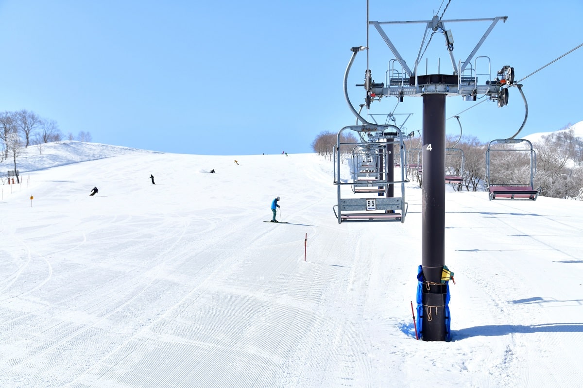 もう化繊に戻れない!メリノウール沼にハマった私のリアル活用術