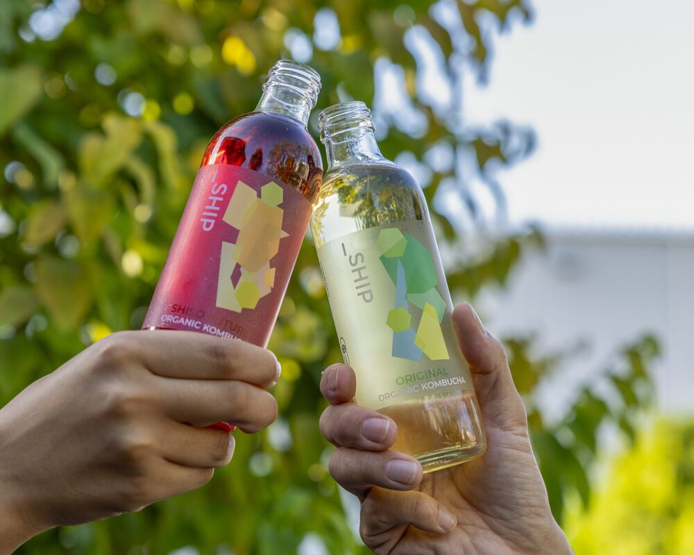 「_SHIP KOMBUCHA」12月5日（金）冬季限定フレーバーを発売