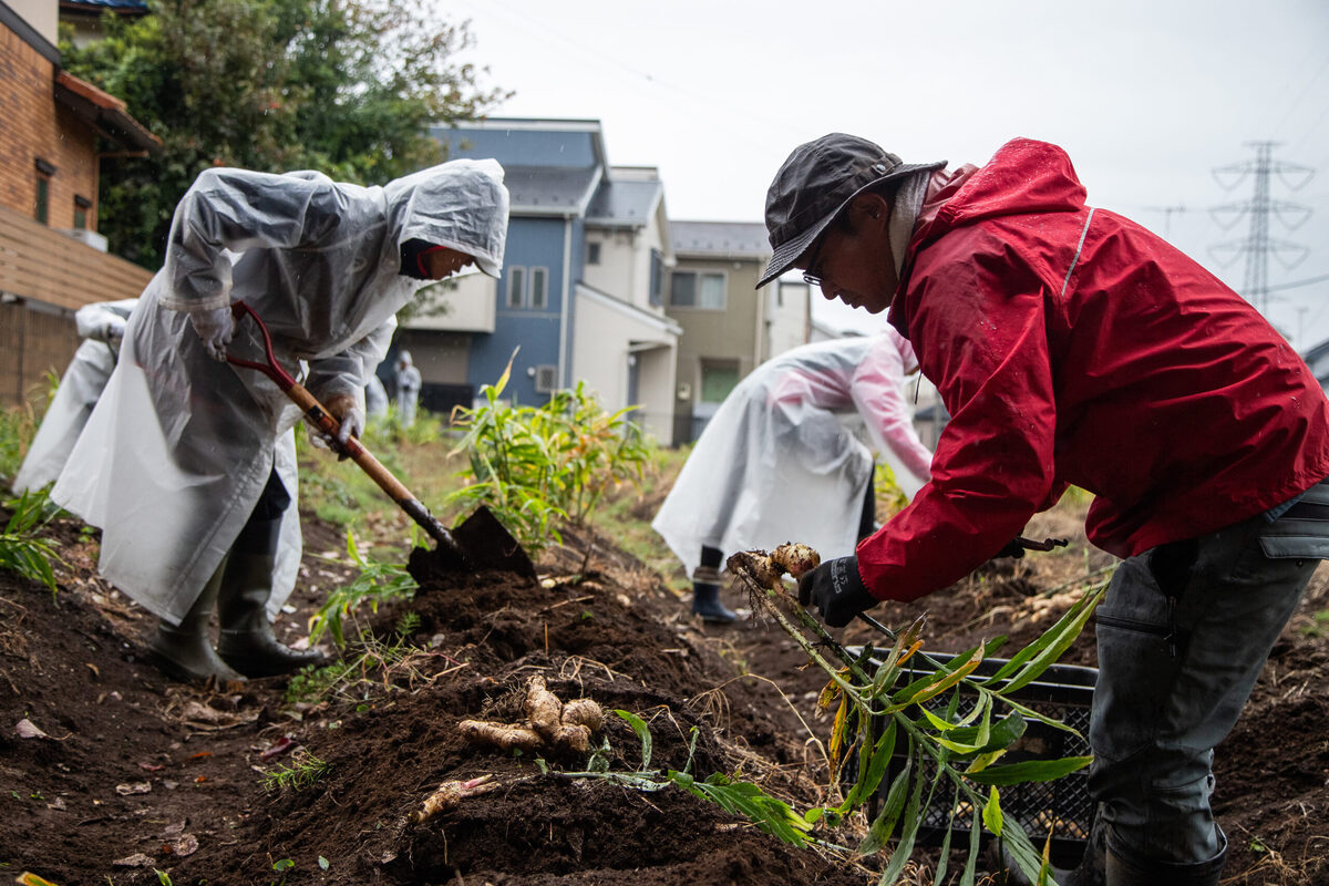 「_SHIP KOMBUCHA」12月5日（金）冬季限定フレーバーを発売