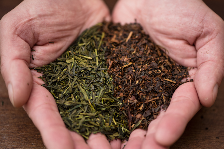 「_SHIP KOMBUCHA」12月5日（金）冬季限定フレーバーを発売