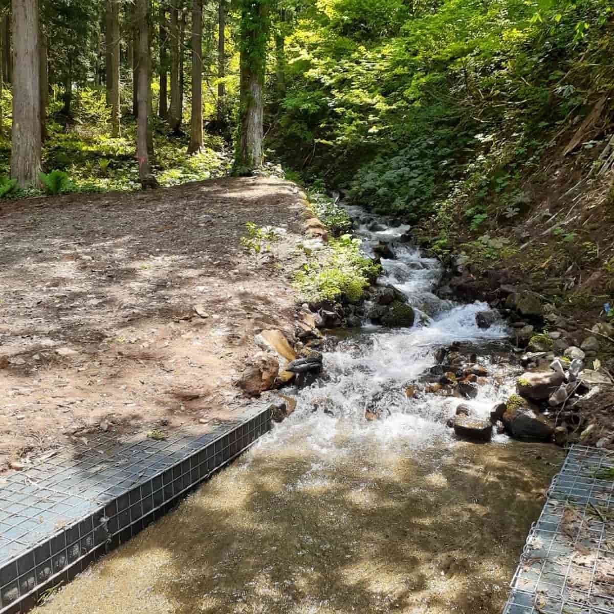 全国46スキー場がサステナブル化推進。「冬を守る」SRA、3年目の現在地