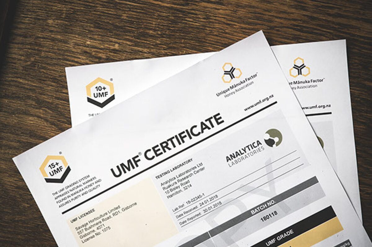 ニュージーランド産「クラフトマヌカハニー」MOUNTAIN HARVEST