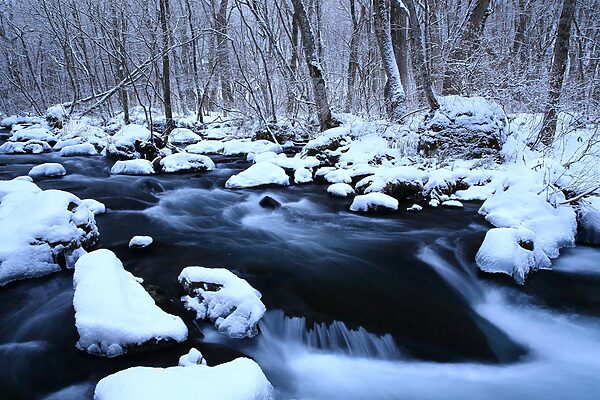 雪解け前の渓を歩く｜春を待つ川と釣り人の「シーズンオフの過ごし方」