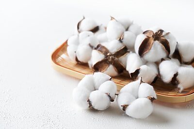 “打ち直す”ことで想い出の座布団を再生。サステナブルな綿とのつき合い方