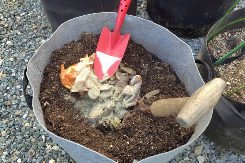 カルスNC-R　使い方