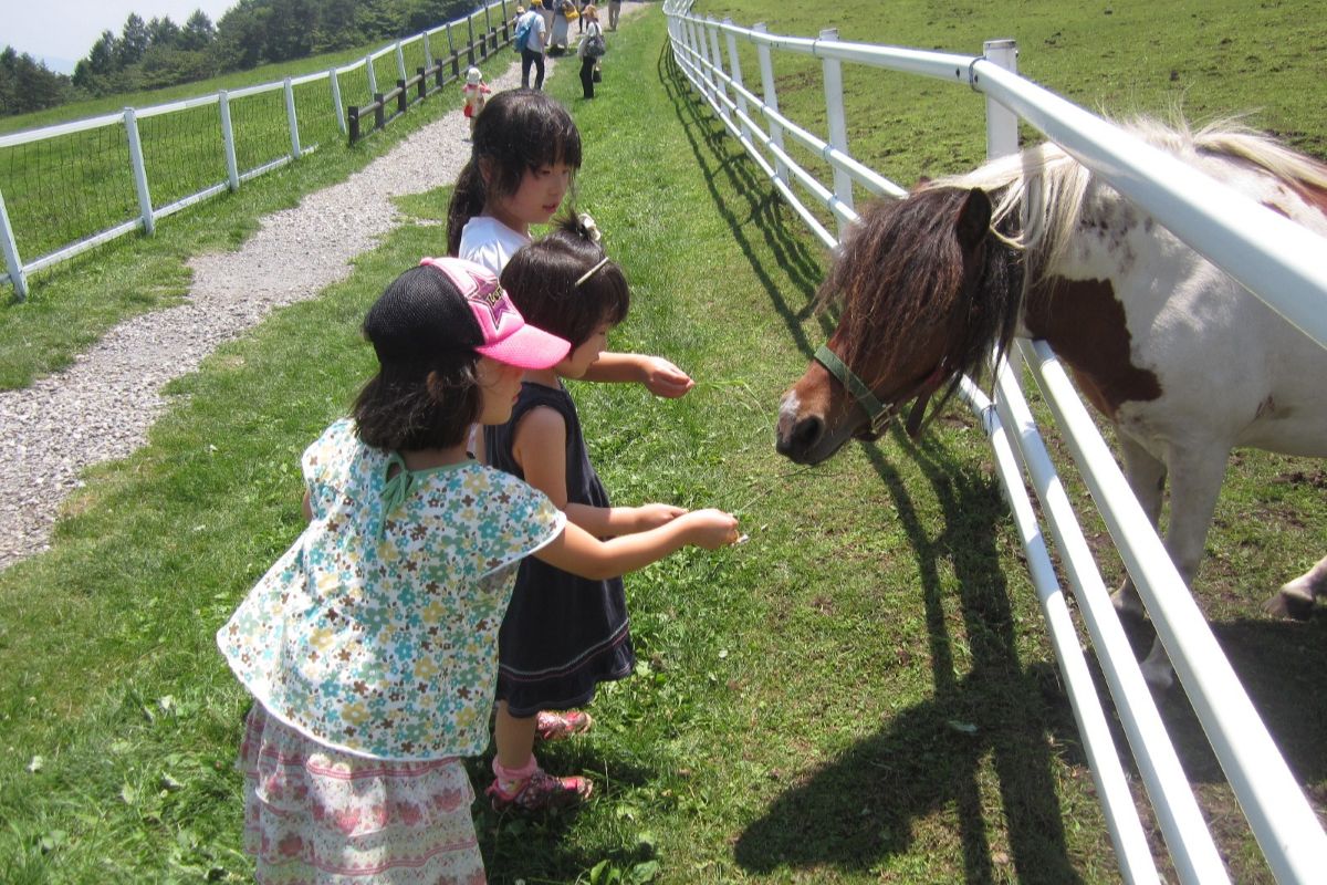 野生生物　餌　環境教育