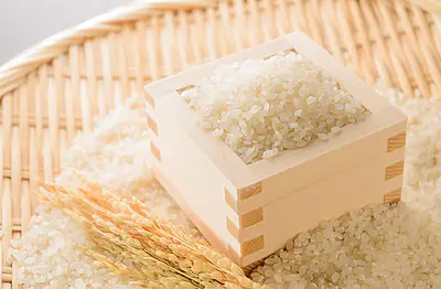 【おすすめ通販サイトも紹介】お米ソムリエが味わう、未来の主要品種5選