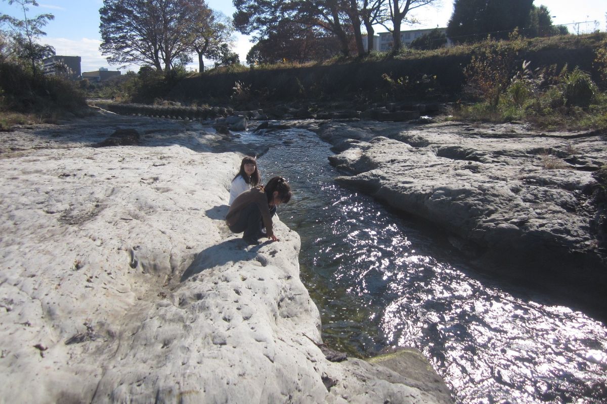 環境教育　エシカル