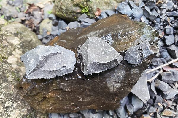 恐竜から地球の時間へ。親子でひらく「化石探し体験」という学びの扉