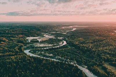 ヨーロッパの“隠れた宝石”ラトビア。森と湿原に抱かれるリトリート旅へ