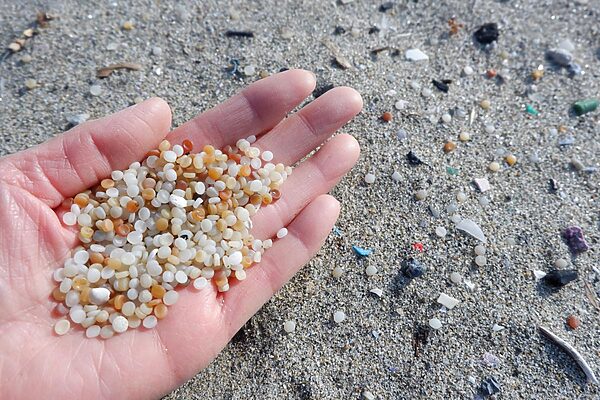 暮らしから海へ流れる小さな欠片「マイクロプラスチック」を減らすために今日からできること