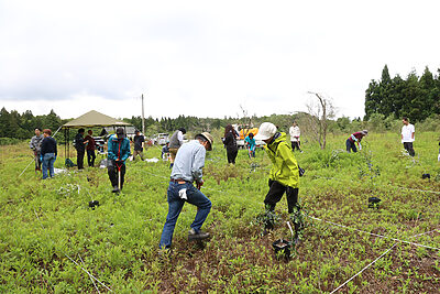 農業から能登に関わる。Farmer’s Village Notoがつくる“参加する農業”