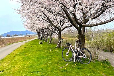 春のロードバイク服装ガイド｜寒暖差に負けない「引き算」の重ね着術