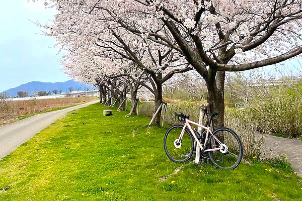 春のロードバイク服装ガイド｜寒暖差に負けない「引き算」の重ね着術