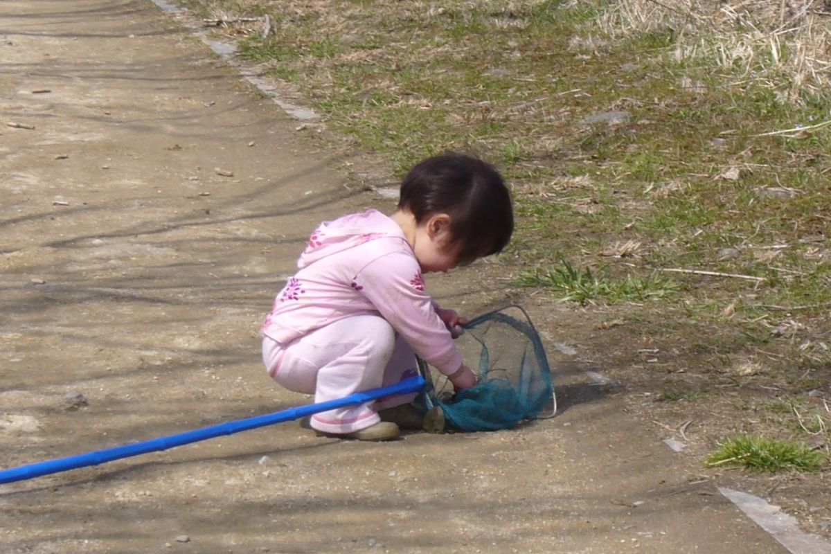 棚田 生きもの 春