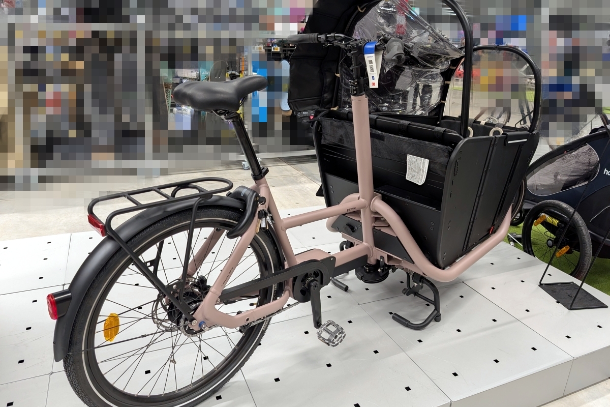 海外　電動自転車　レンタカー