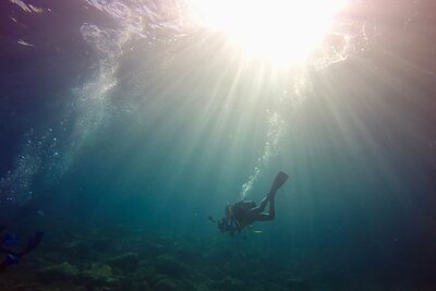 春のダイビングスポット7選！春濁りの正体とこの時期だけの楽しみ方を紹介