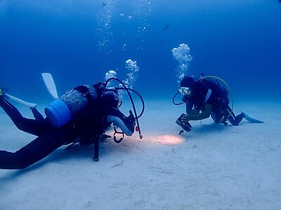 バディとの相性が悪いと感じたら？｜“運”にしないためのダイバーの技術