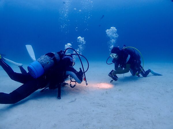 バディとの相性が悪いと感じたら？｜“運”にしないためのダイバーの技術