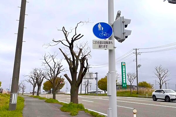 自転車に「青切符」導入。GW前に家族で再確認したい並走の新常識