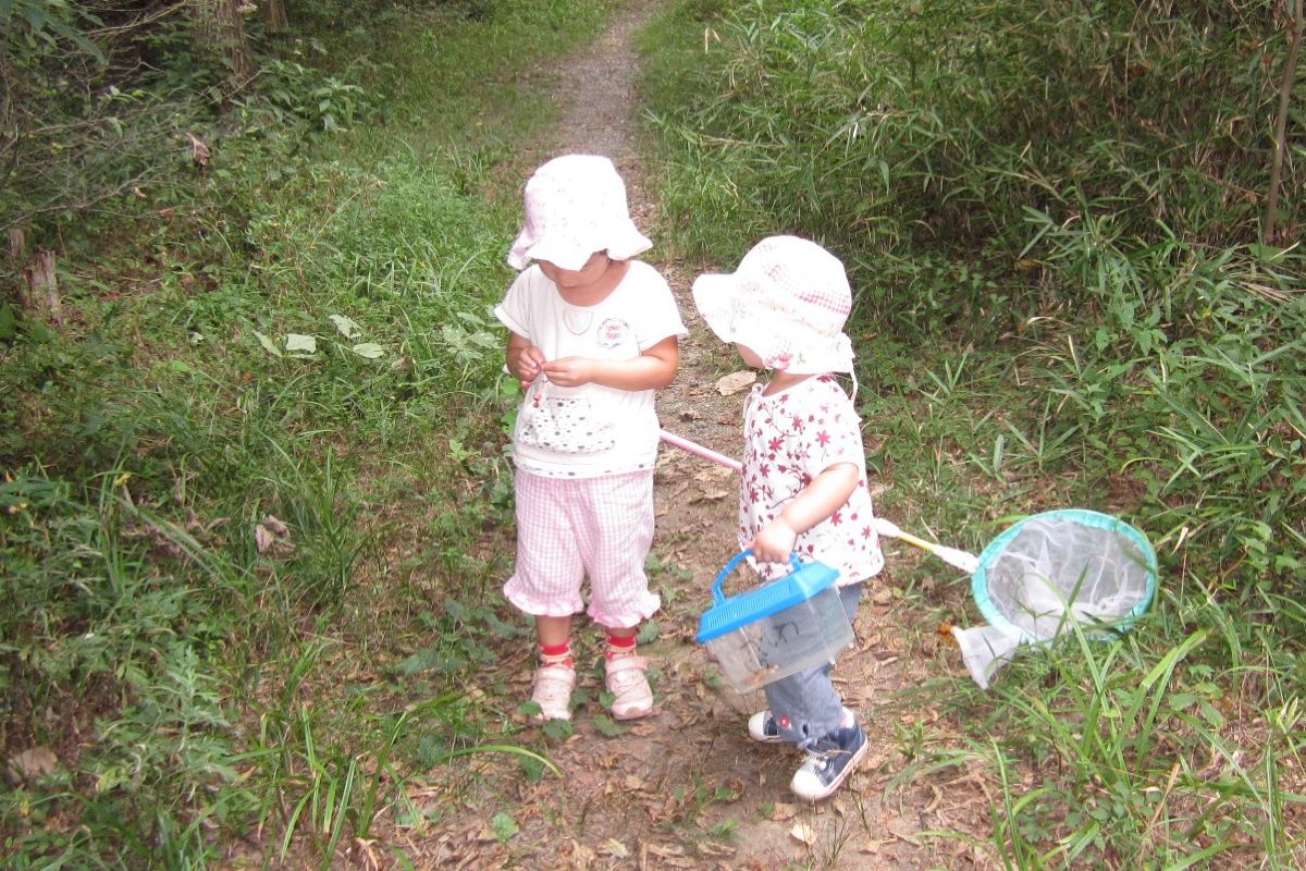 テントウムシ　春