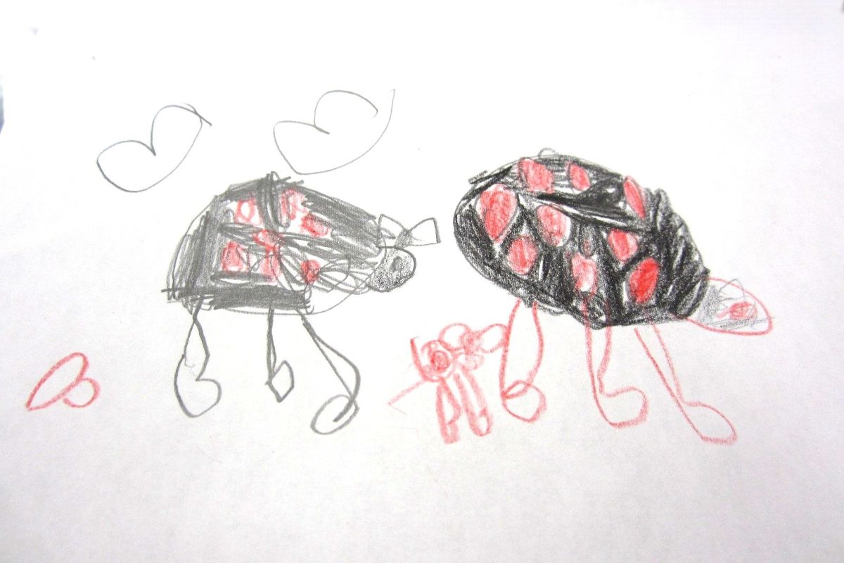 テントウムシ　春