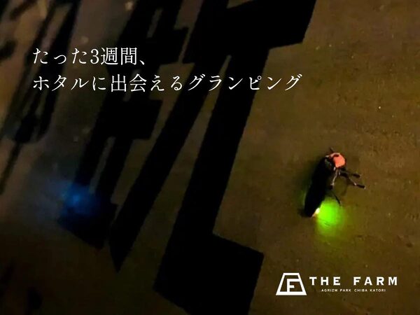 初夏限定、光が揺れる夜へ。農園リゾート“THE FARM”で味わうホタルの幻想体験