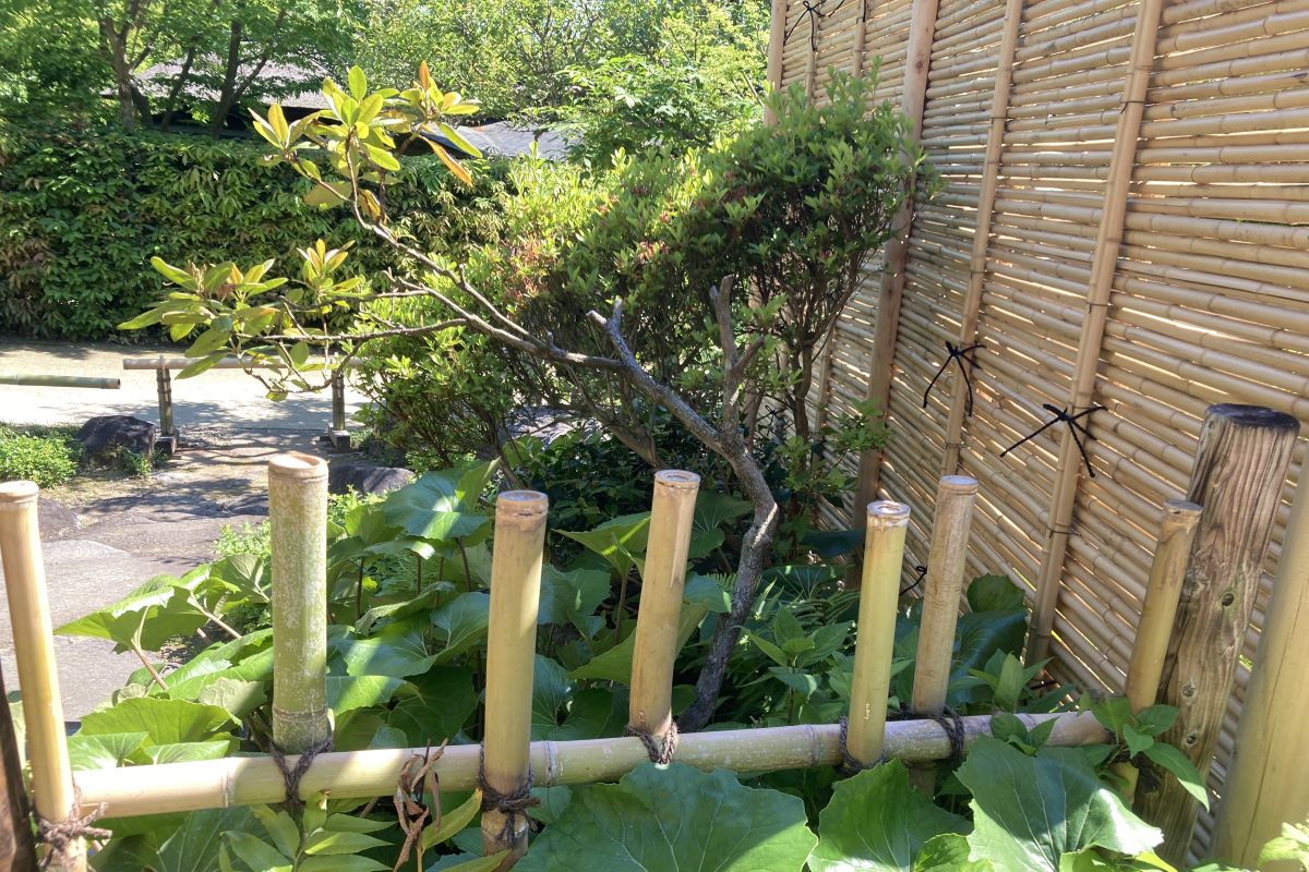 竹林　放置　問題