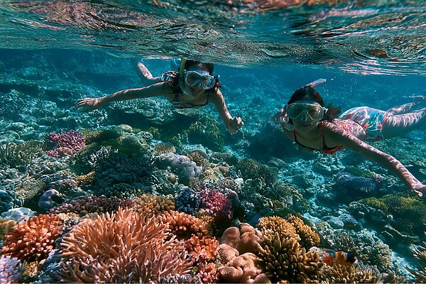 知らない間にサンゴ傷つけてない？海遊びで気をつけたいポイント