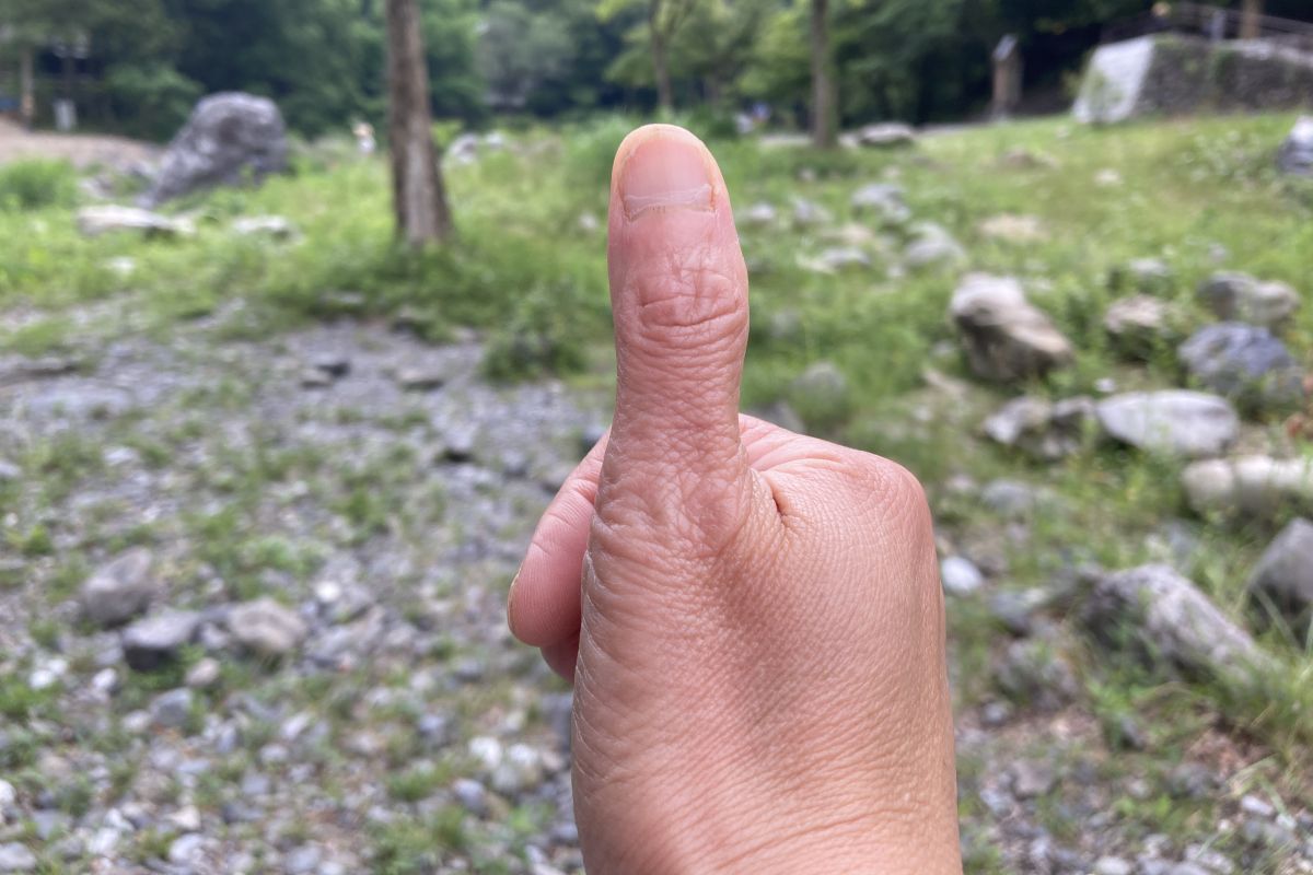 エシカル　環境教育　親子